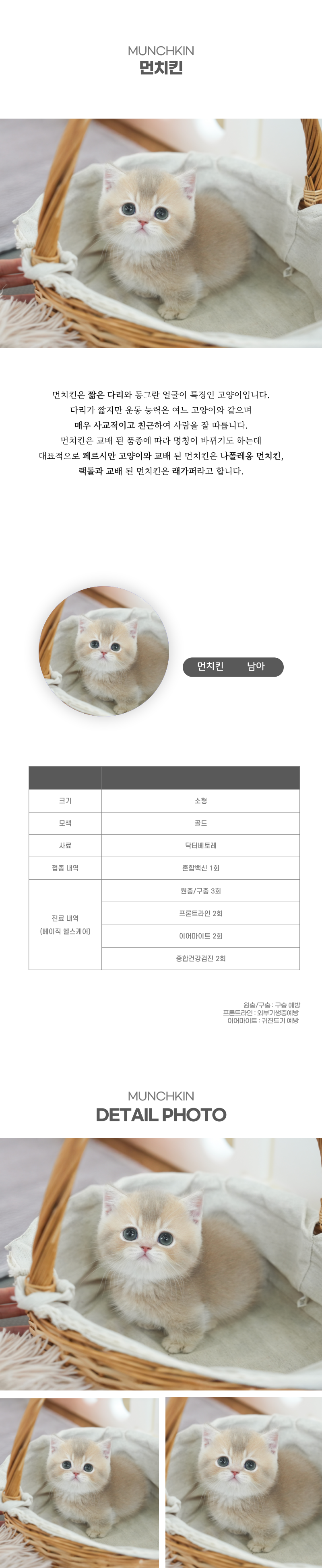 먼치킨_상세이미지_2